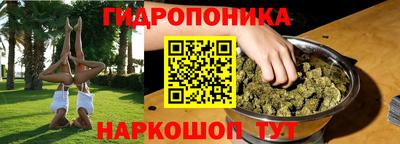 spice Канаш